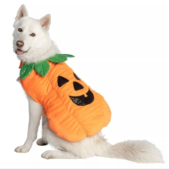 Thrills & Chills - Dog Pumpkin Halloween Costume - Size L - Picture 7 of 13